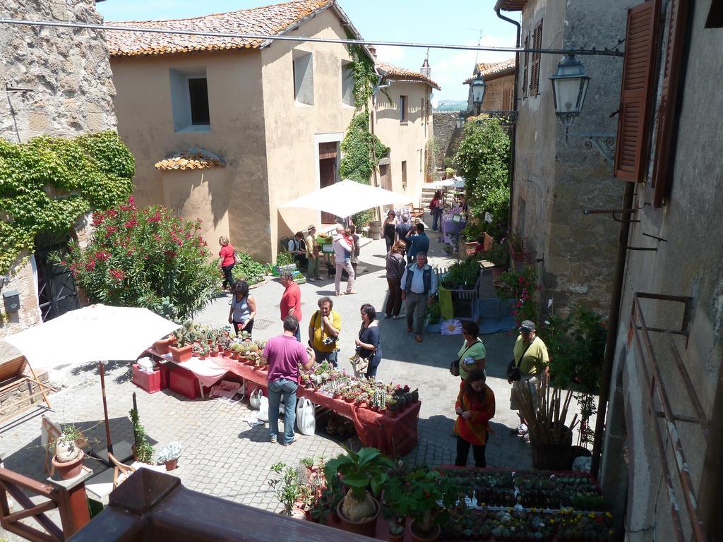 La Giuliva Di Pianiano Apartamento Cellere Quarto foto